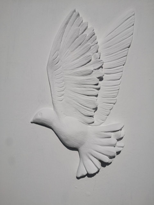 Online master class “Dove”