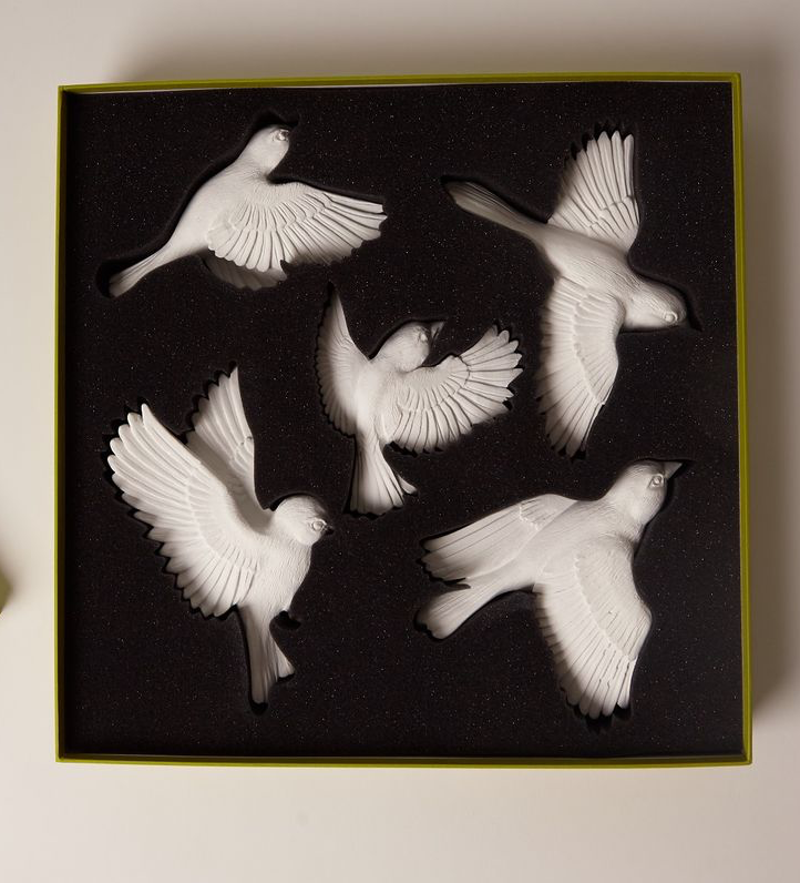 A flock of birds flying to the right